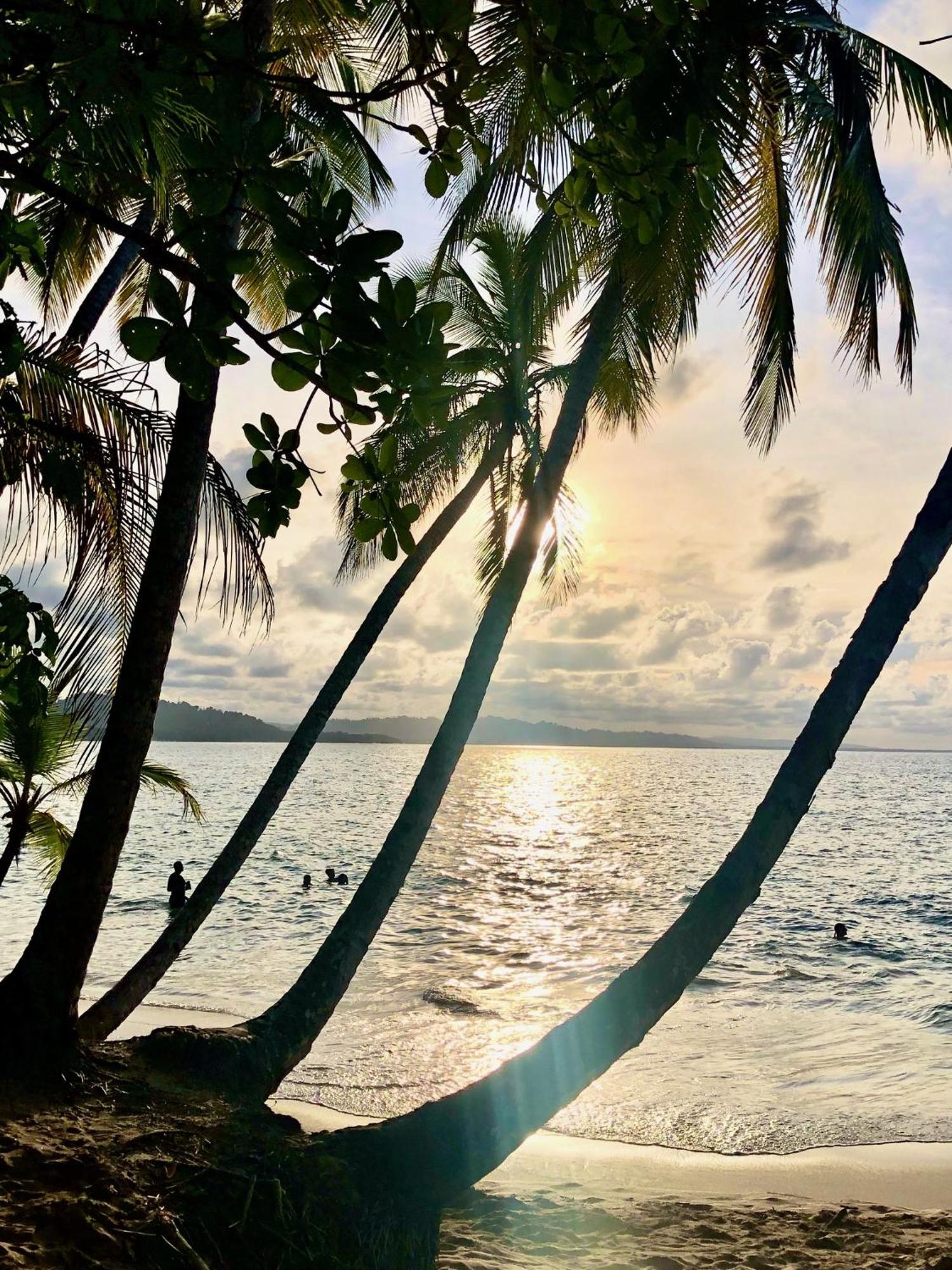 Cabinas Ole Caribe Puerto Viejo de Talamanca Kültér fotó